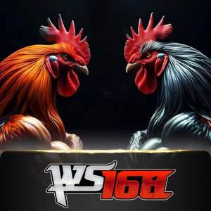 ws168 - storebet77